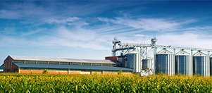 1-1.2TPH Animal Feed Production Line