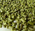 Environmental Protection and Safety