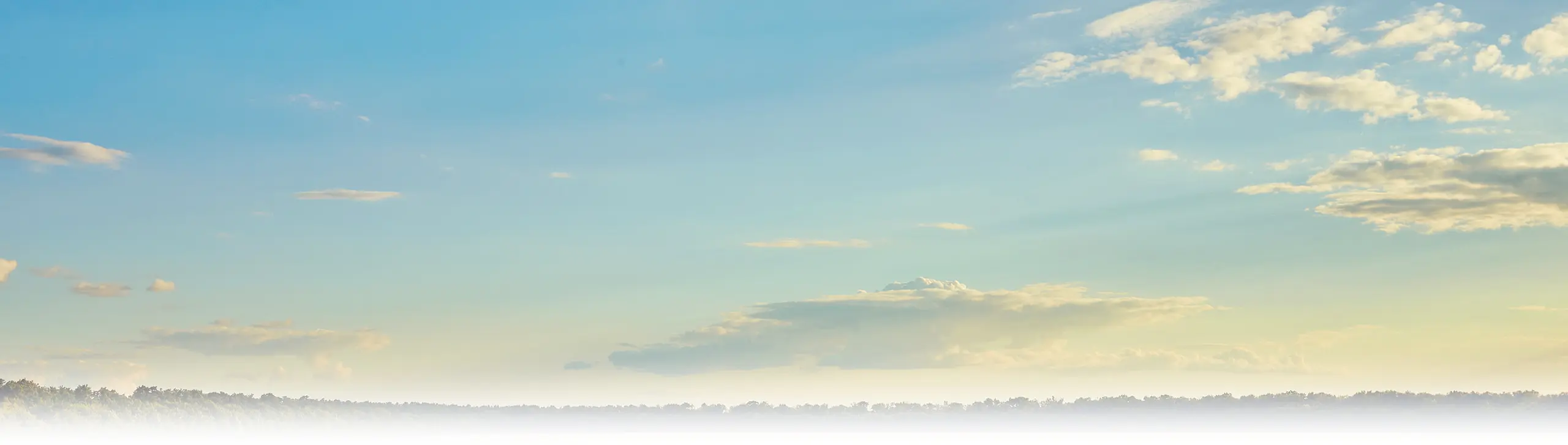 Features and Advantages of RICHI Chicken Manure Pellet Machine For Sale