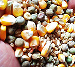 Raw Material Supply Chain