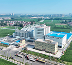 Site Selection and Civil Engineering