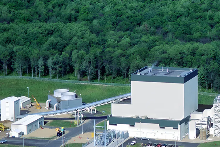 Types of Animal Feed Mills