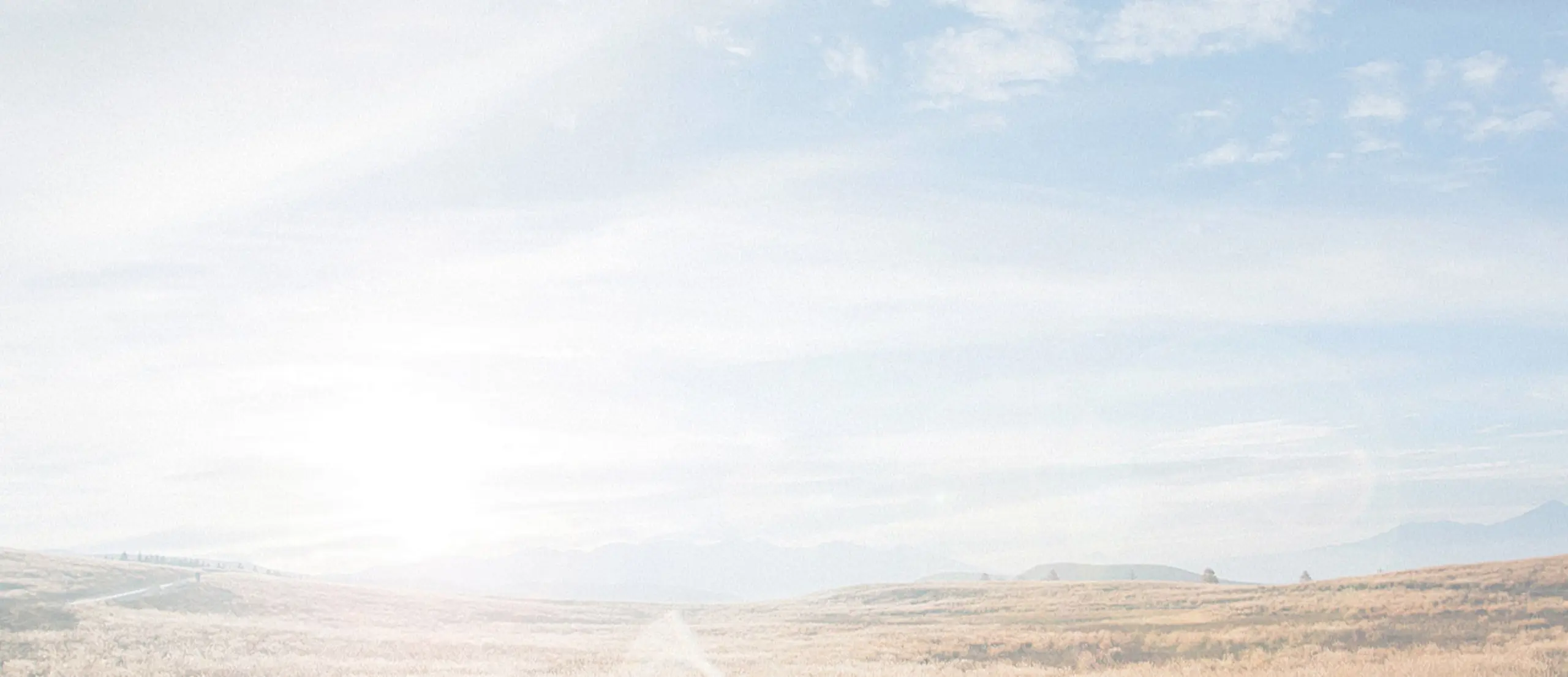 grass feed pellet machine -why choose RICHI