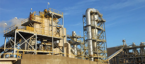 Log wood pellet production line