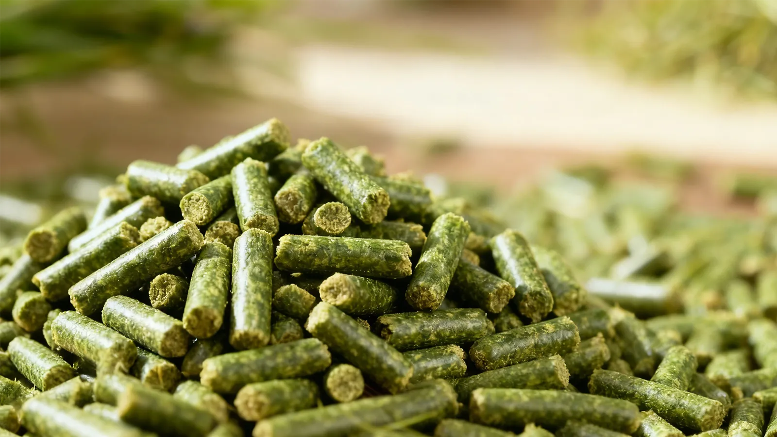 15 TPH pellet machine in Oman