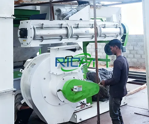 15TPH Cattle Feed Pellet machine for sale Oman