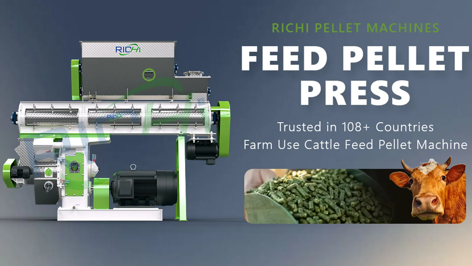 3 TPH pellet machine in Argentina