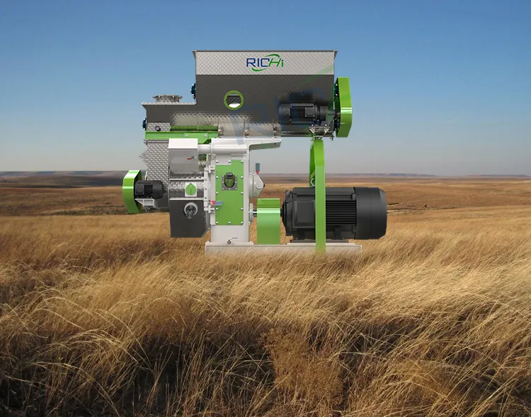 Biomass Pellet Machine