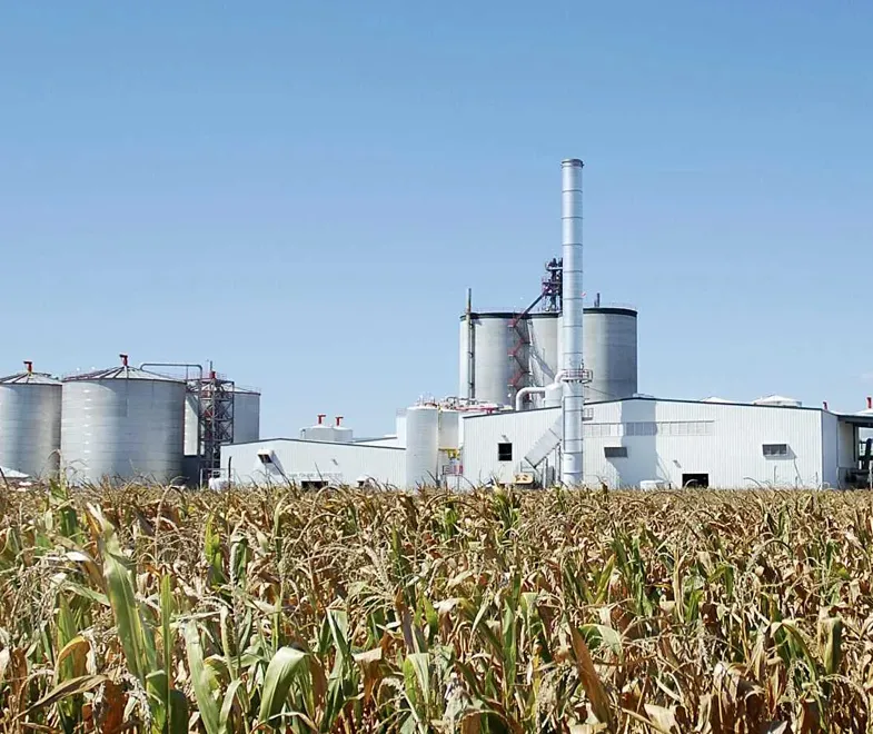 Biomass Pellet Production Line
