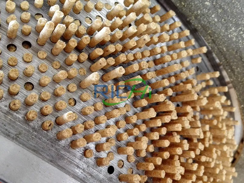 Cattle feed pellet mill release type stepped die hole