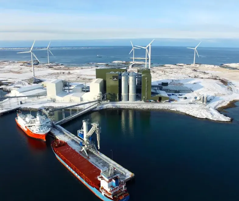 Feed Extruder pellet Production Line