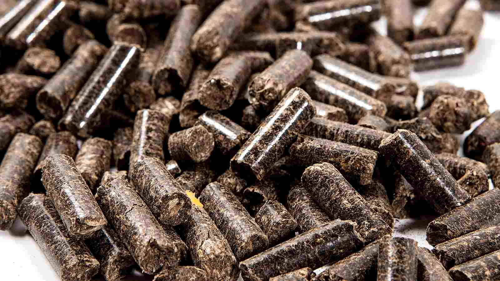 Finished Pellets made by the chicken manure pellet machine