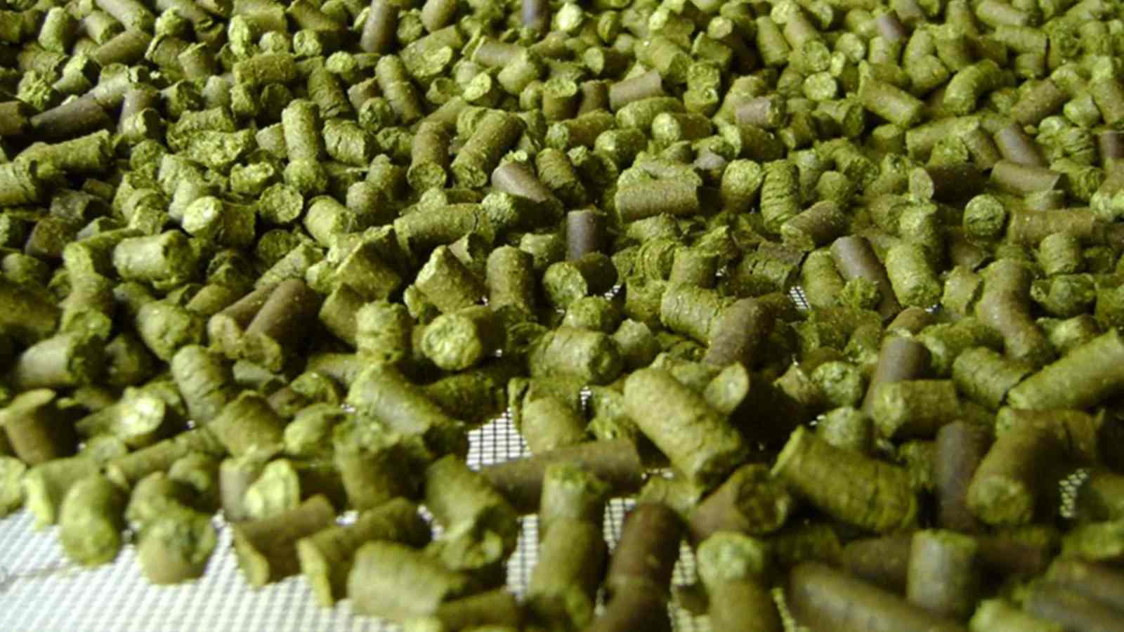 3T/H cattle feed production line in Argentina