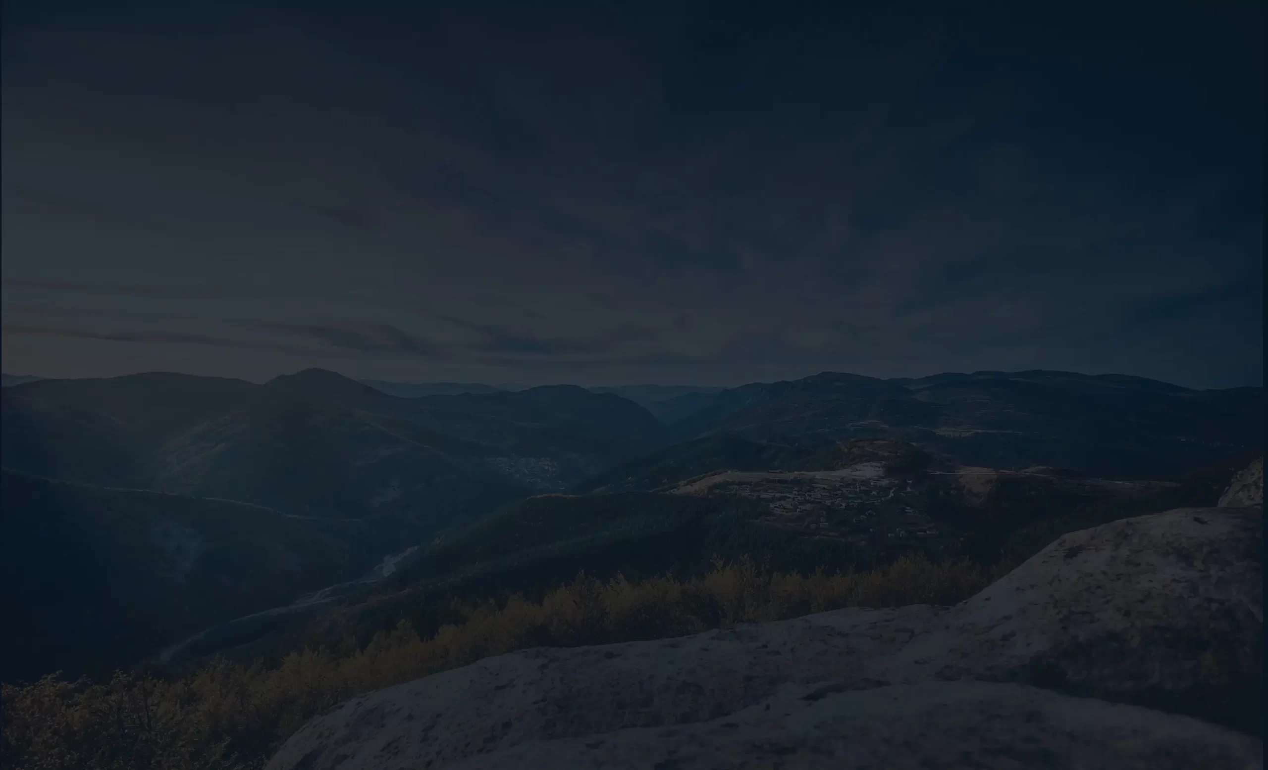 RICHI, Tailored Solutions for You