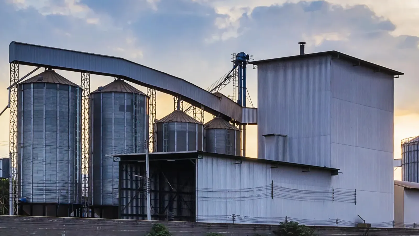 Livestock Feed pellet Production Line in Uzbekistan