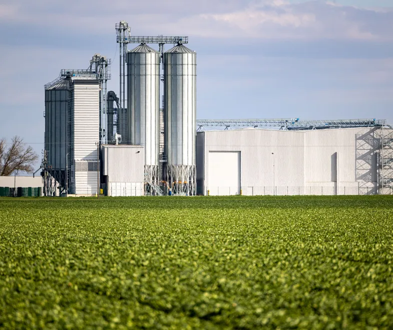 Other Pellet Production Lines