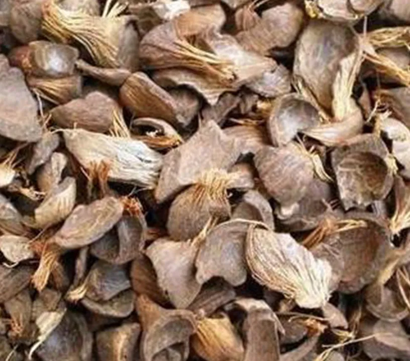 Palm kernel shells