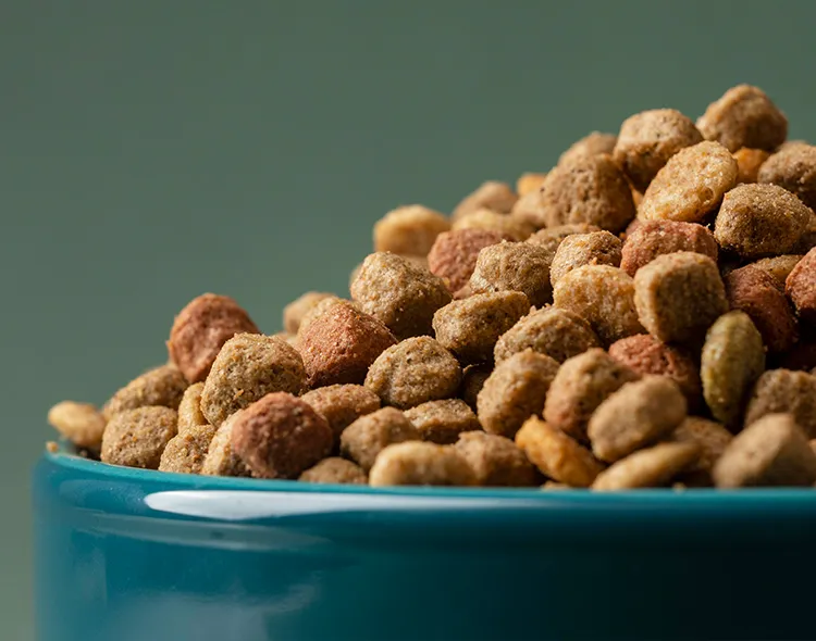 RICHI Feed Extruder-Produced Feed Pellets