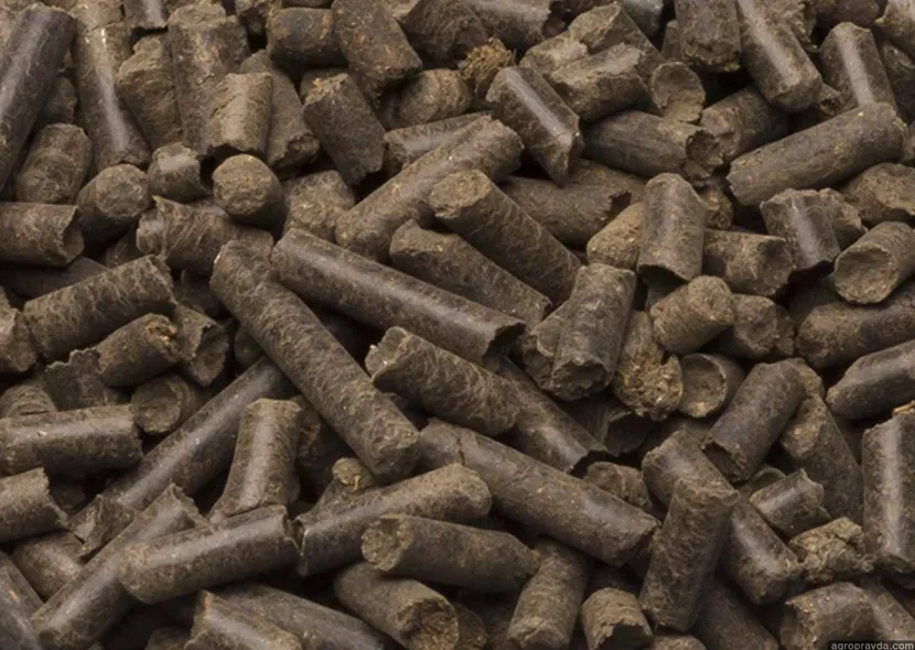 RICHI Fertilizer Pelletizer-Produced Pellets