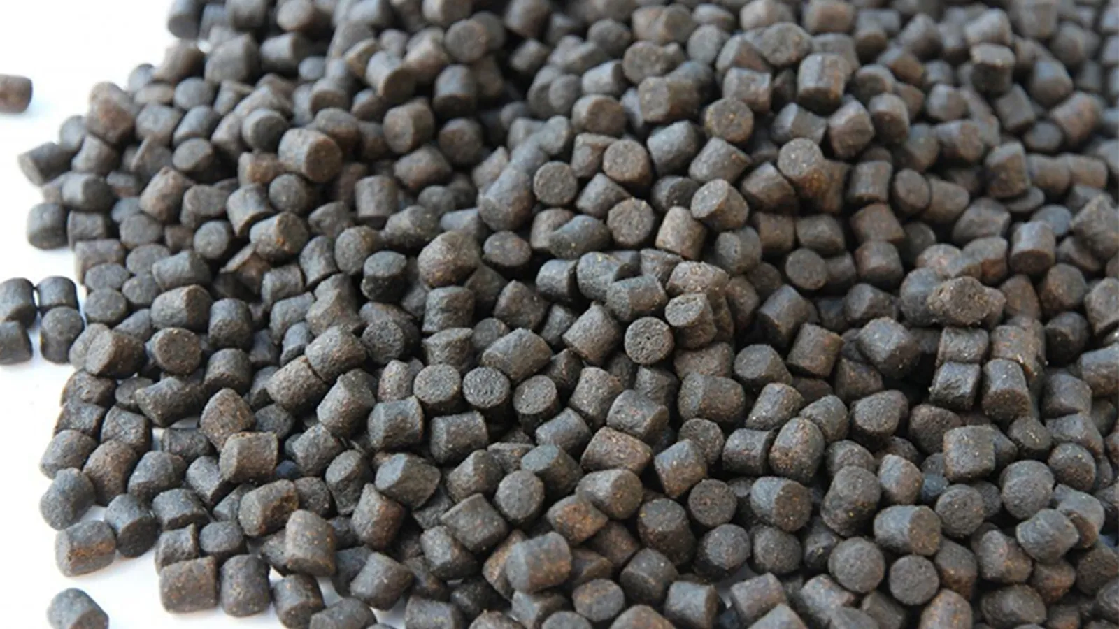 RICHI Floating Fish Feed Extruder machine Produces Premium Pellets