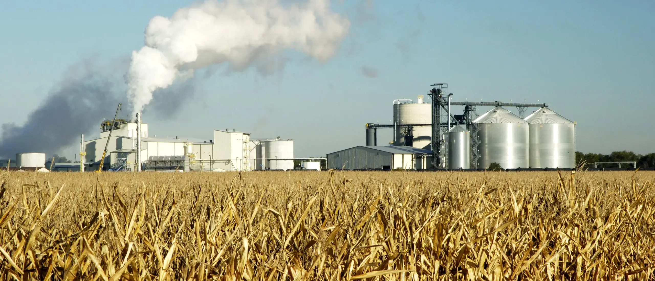 Wide-Capacity Biomass Pellet Production Lines