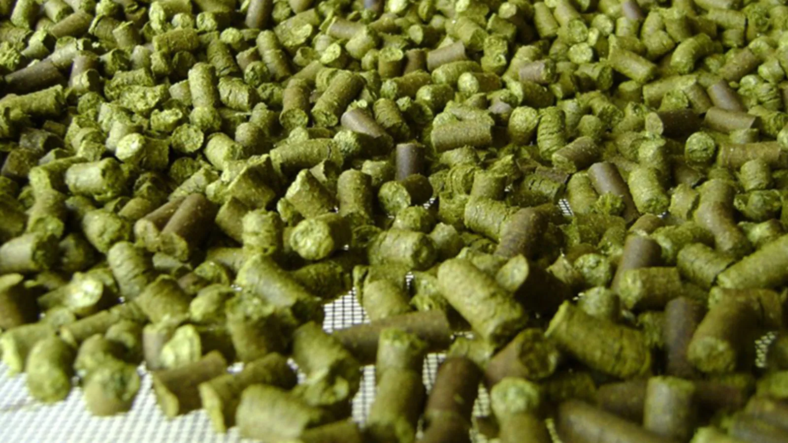 grass pellet machine in Argentina