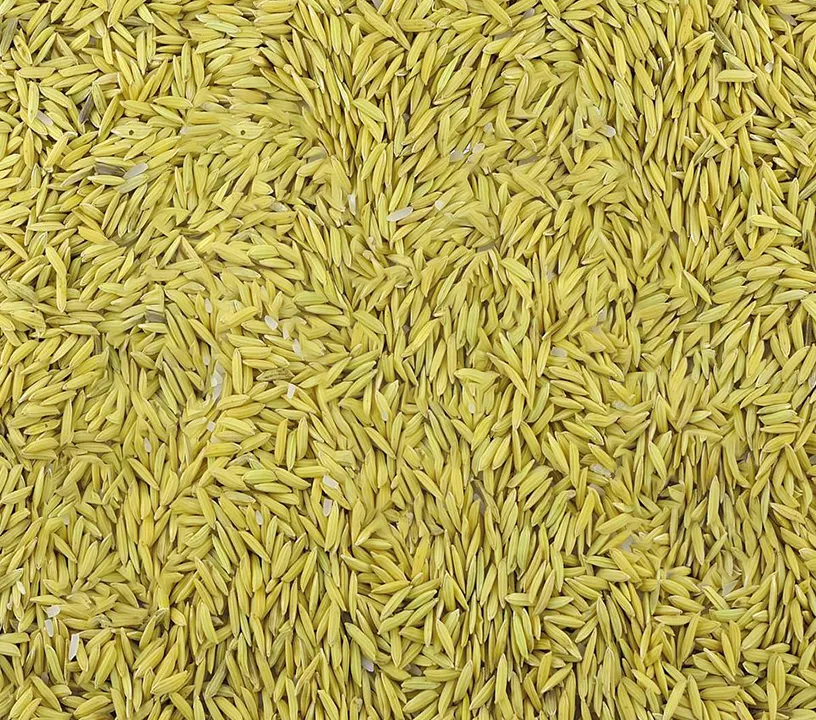 rice husks