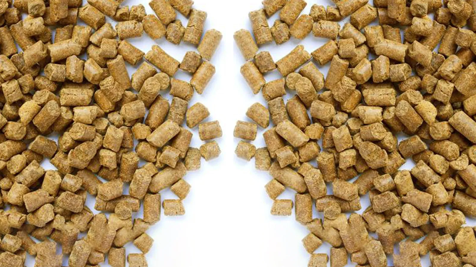 RICHI has built a 10 TPH pig feed pellet plant in Germany