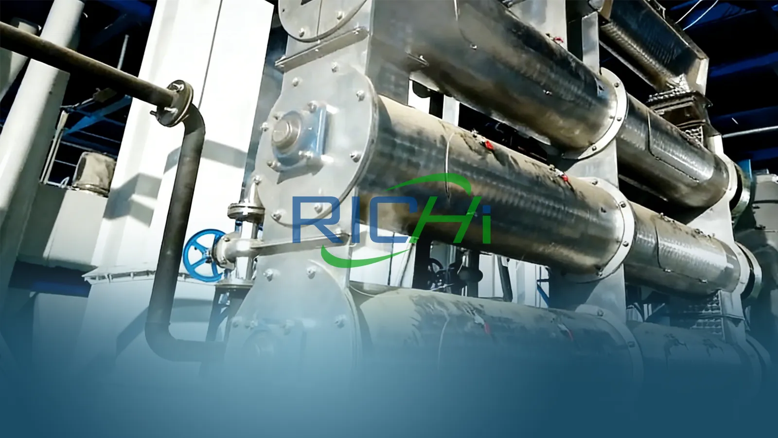 2TPH shrimp feed pellet machine in Indonesia