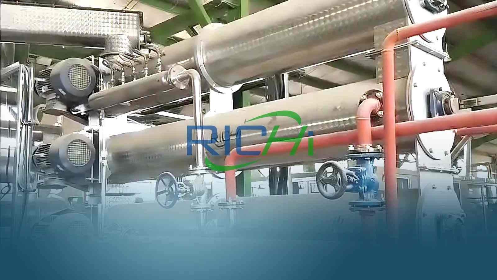 3TPH shrimp feed pellet machine in Iran