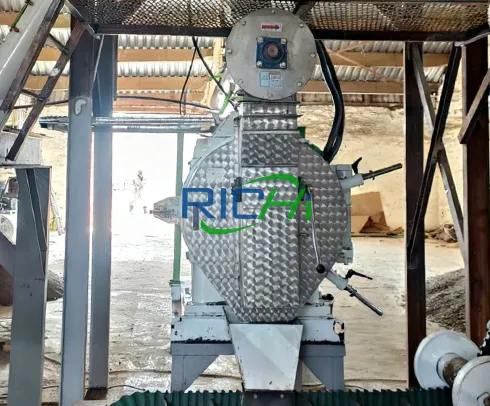 5 TPH Rice Husk Pellet Machine in Kazakhstan