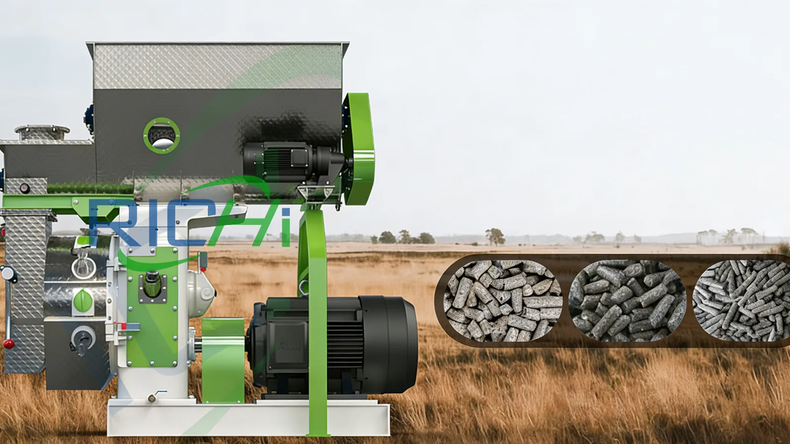 5TPH Alfalfa Pellet Machine for Organic Fertilizer Production in Tanzania