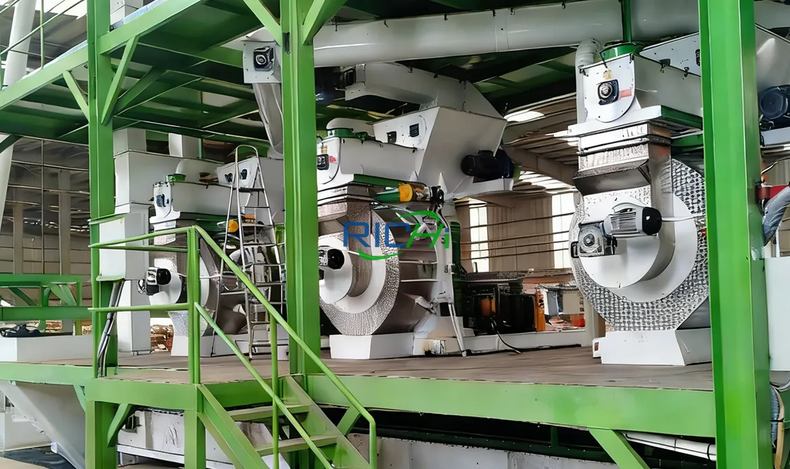 6TPH Chicken Manure Pellet Machine for sale Canada