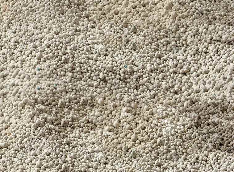 Bentonite used to make cat litter