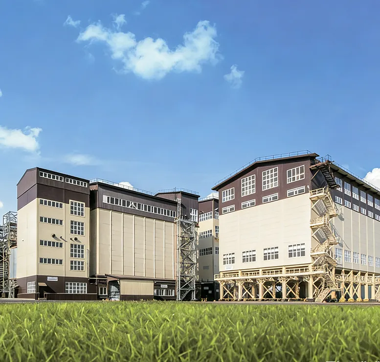 Prospects for Specialized Goat Feed Factories