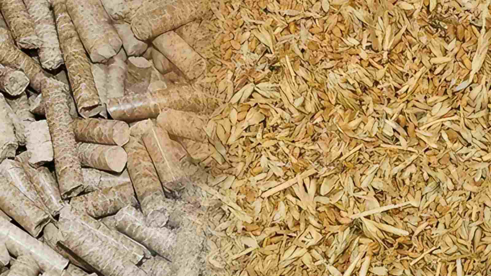 Rice Husk Pellet Machine Video