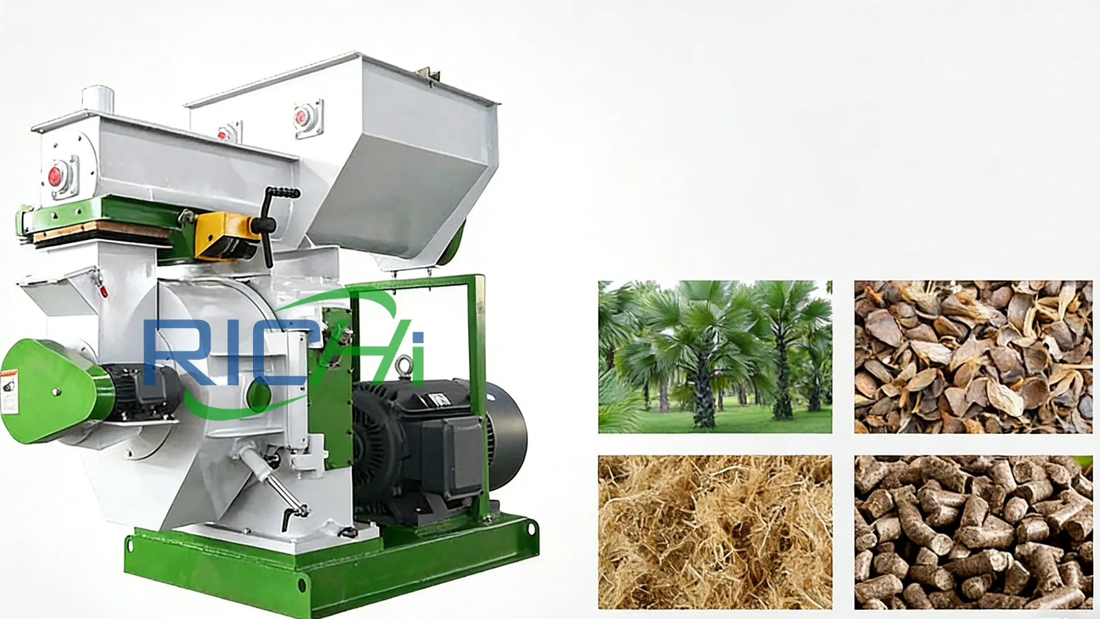 biomass pellets based on wood chips and EFB pellets in Malaysia