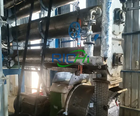 shrimp feed pellet machine in India