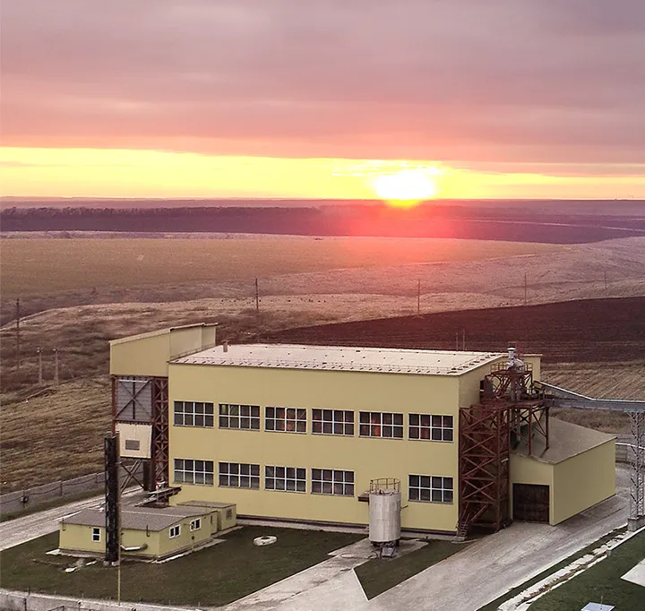 0.6 TPH Floating Fish Feed Plant