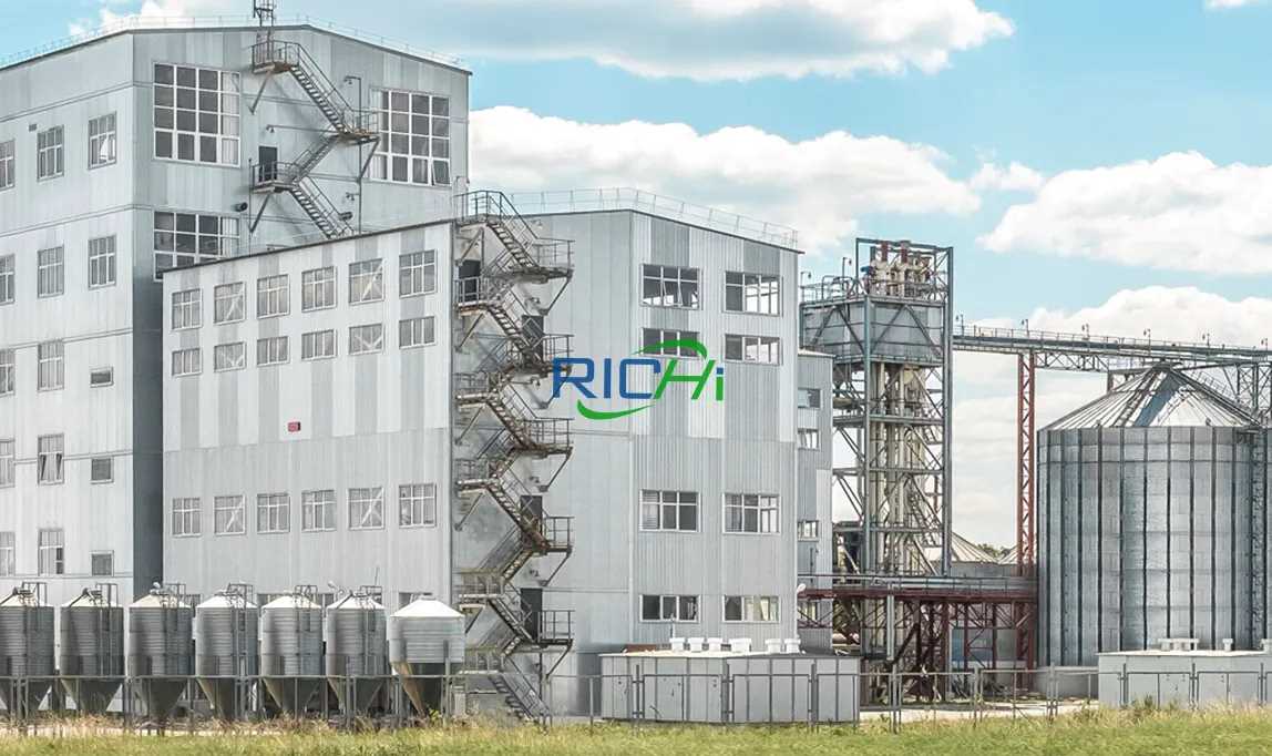 20 TPH Poultry Feed Pelletizer Machine For Sale South Africa