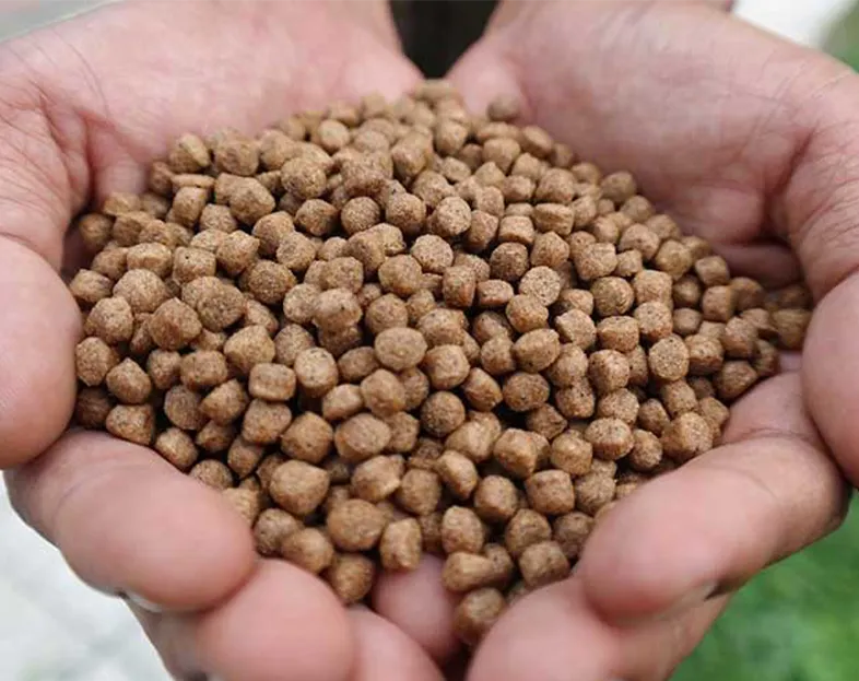 Feed produced by the floating fish feed factory