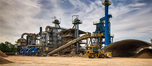 Forestry waste biomass pellet production line