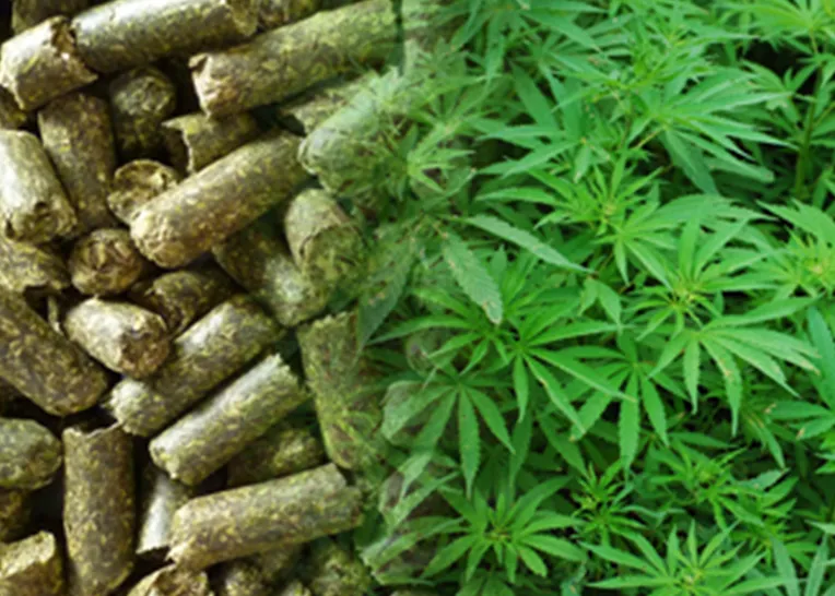 biomass grass pellet