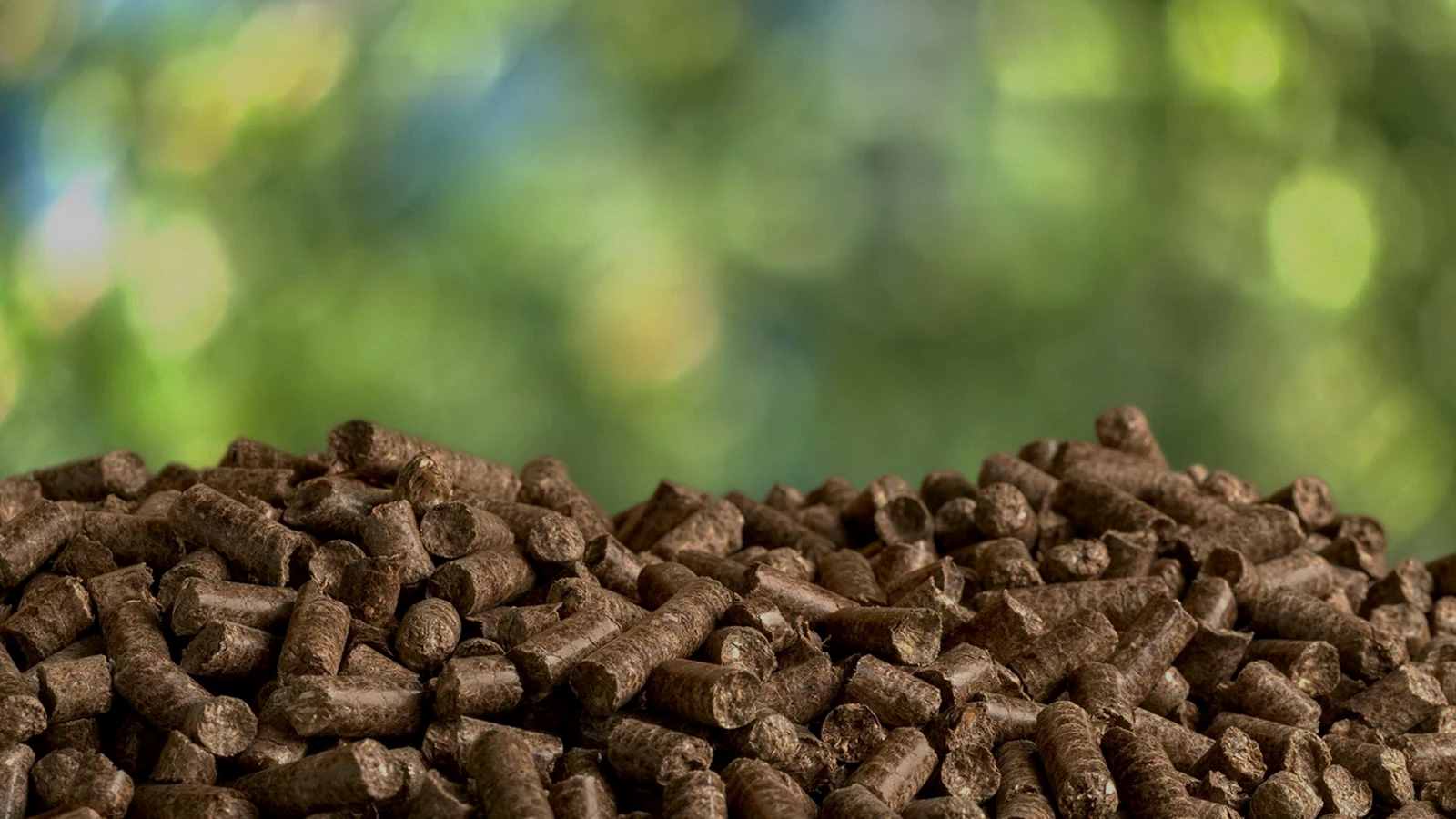 Chicken manure pellet production line in Thailand