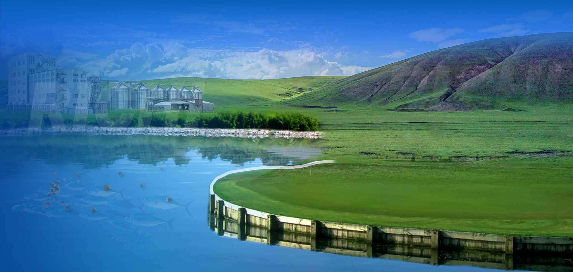 Floating and sinking Fish Feed pellet Machine banner