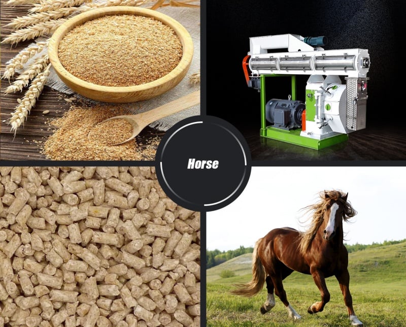 Macchina per la produzione di pellet per cavalli