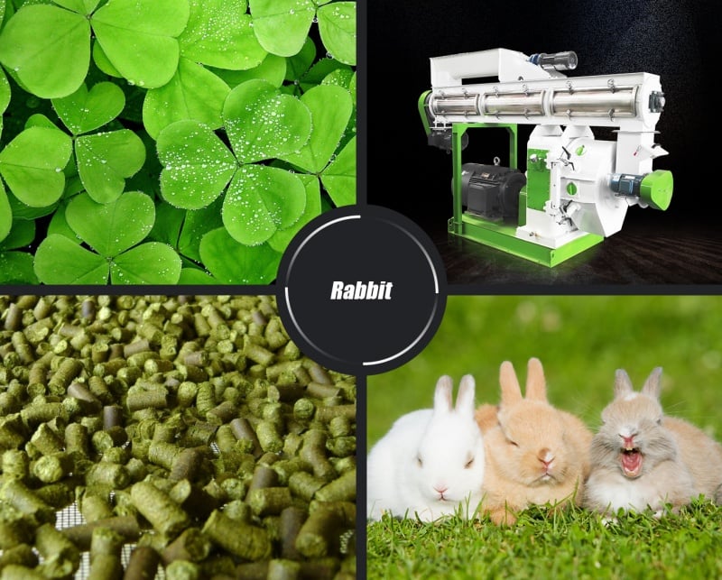 Macchina per la produzione di pellet per conigli