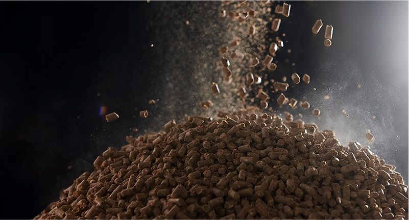 pellet per polli