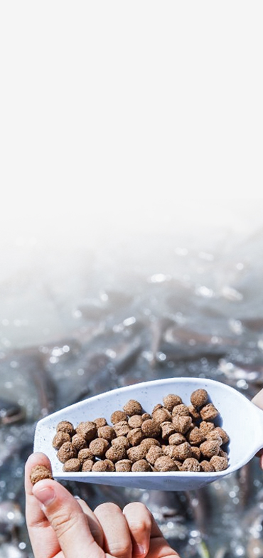 อาหารปลา