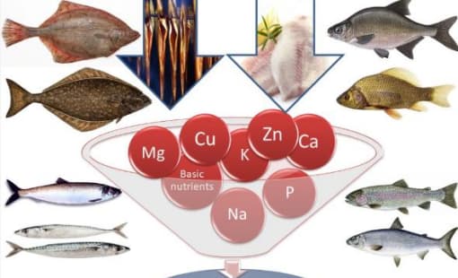 Функциональные премиксы